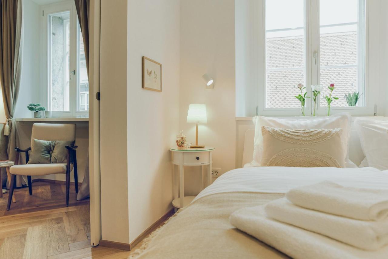 Stylish Apartment In Historical Center リュブリャナ エクステリア 写真
