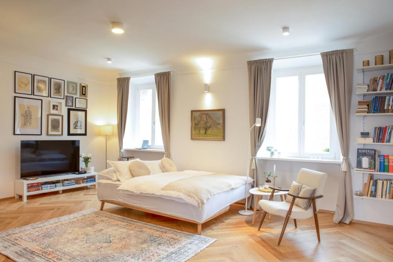 Stylish Apartment In Historical Center リュブリャナ エクステリア 写真
